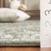 Adirondack ADR109 Non-Shedding Power Loomed Indoor Rug - Safavieh - 4 of 4