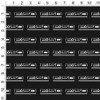Ford Trucks F-150 Logo Gift Wrap 30" x 72" - 3 of 4