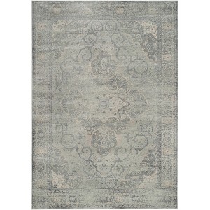 Vintage VTG159 Skid Resistant Power Loomed Indoor Rugs - Safavieh - 1 of 4