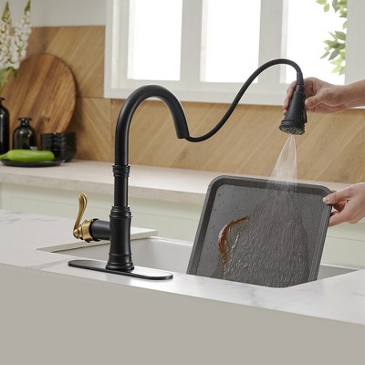 Matte Black and Gold Single-Handle Pull-Down Kitchen Faucet