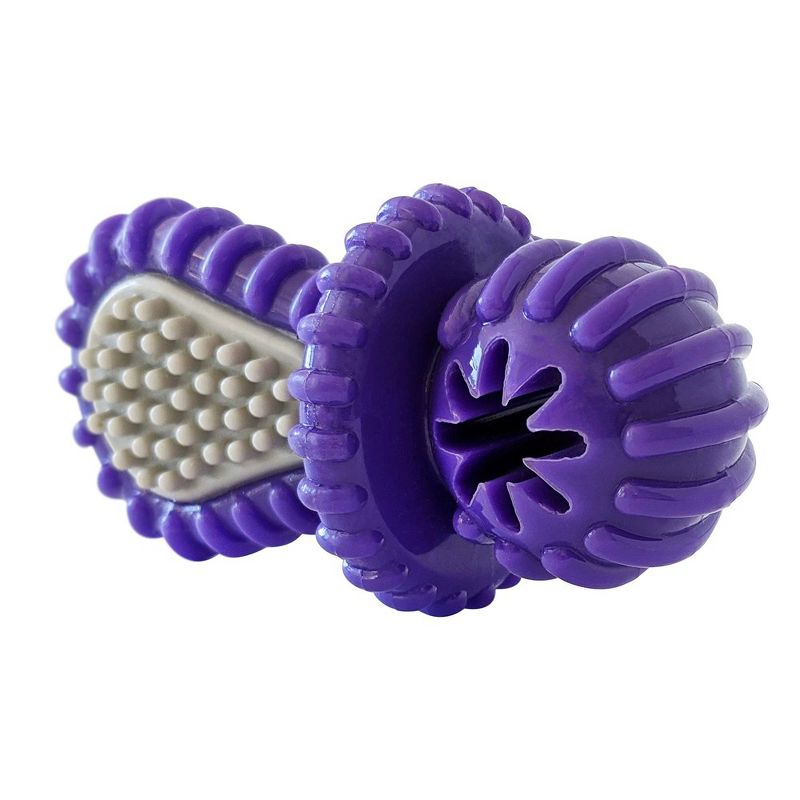 American Pet Supplies 4.9-Inch Dental Pacifier Dog Chew Toy - Purple, 3 of 4