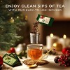 Gya Tea Co 14 Flavors Merry Tea Gift Set Variety Pack (28 Packs) - Assorted Loose Leaf Tea Sampler for Warm Holidays - 3 of 4