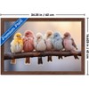 Trends International Reinders: Animals - Pastel Birds Framed Wall Poster Prints Mahogany Framed Version 14.725" x 22.375" - 3 of 4