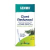 Giant Redwood, Young Shoots by Boiron Herbal Supplement  -  2 fl oz Liquid - 2 of 4