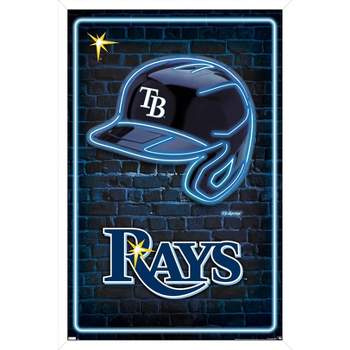 Mlb Tampa Bay Rays Baseball Logo Glass Framed Panel : Target