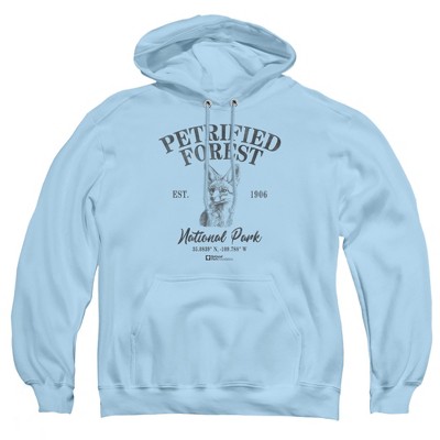 Men's Petrified Forest National Park Fox Icon Pull-Over Hoodie
