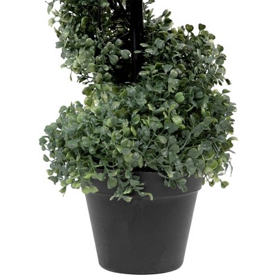 Elegant Two-Tone Boxwood Spiral Topiary, 38" Unlit with Black Pot