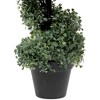 Northlight 3' Artificial Two-Tone Boxwood Spiral Topiary Tree with Round Pot, Unlit - 4 of 4