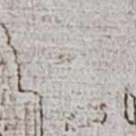 beige, olive, tan, blush pink, green