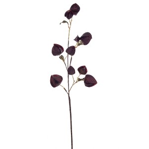 Vickerman 30.5" Dried Lantern Spray - 1 of 1