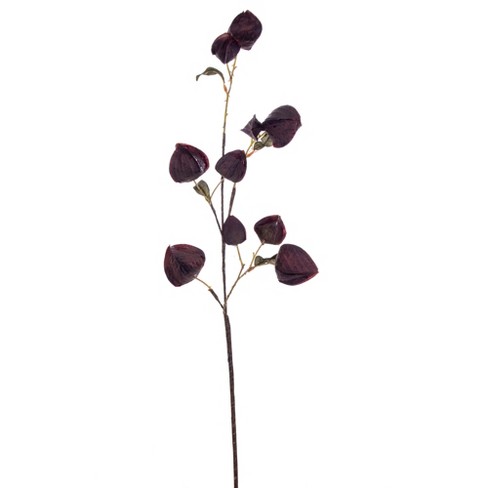 Vickerman 30.5" Dried Lantern Spray - image 1 of 1