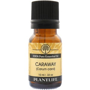Plantlife Caraway Aromatherapy Essential Oil – 100% Pure, Therapeutic Grade, No Additives or Fillers, 10 ml - 1 of 2
