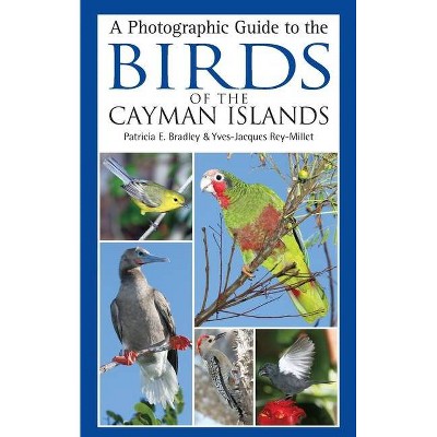 A Photographic Guide to the Birds of the Cayman Islands - by  Patricia E Bradley & Yves-Jacques Rey-Millet (Paperback)