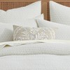 Eyelet Embroidered Floral Pillow 18x18 - Levtex Home - 2 of 3