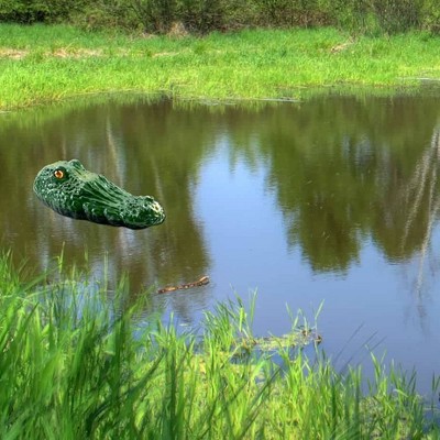 Bird-X Gator Guard Decoy - Thumbnail 5