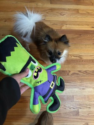 Guest review image 1 of 5, zoom in