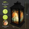 Elegant Pumpkins Fall Lantern 13.5" x 5.5" x 5.5" Briarwood Lane - 3 of 3