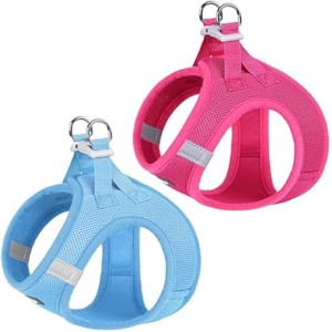rabbitgoo Small Dog Harness, Step-in Soft Mesh Puppy Vest, Easy Walk with Safety Buckle, Breathable Reflective Pet Harness for Small Sized Dogs - 1 of 1