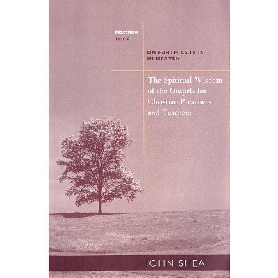 The Spiritual Wisdom of the Gospels for Christian Preachers and Teachers - (Spiritual Wisdom of Gospels for Christian Preachers and Teac) (Paperback)