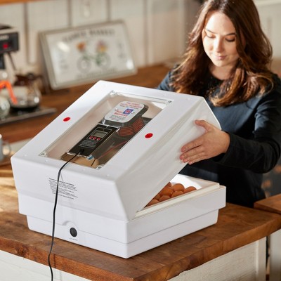 Digital White Egg Incubator with Automatic Turner and Humidity Control