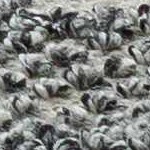 charcoal, off white, slate blue