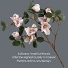 Sullivans Artificial 40" Faux Blush Magnolia Stem - 3 of 4