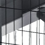 gray, white