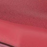 Raspberry