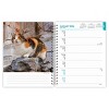 BrownTrout Cat Lovers 2026 6"x7.75" Spiral-Bound Wire-O Engagement Planner Calendar - 3 of 4
