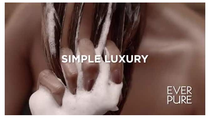 L&#39;Oreal Paris EverPure Simply Clean Sheer Oil Hair Treatment - 4.2 fl oz, 2 of 12, play video