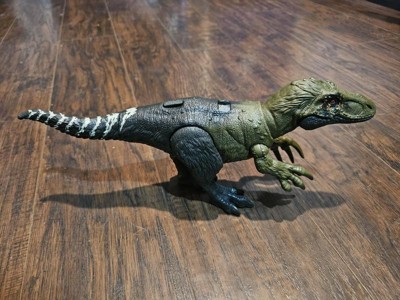 Jurassic World Dino Trackers Wild Roar Orkoraptor Action Figure : Target