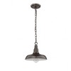 Millennium Lighting 1 - Light Pendant in  Powder Coat Bronze - 2 of 4