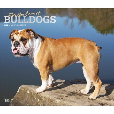 2022 Deluxe Calendar Bulldogs - BrownTrout Publishers Inc