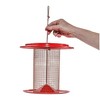Birds Choice Color Pop Collection Sunflower Seed Bird Feeder 9" - Coral: Metal, Weather-Resistant, No Assembly Required - 3 of 4