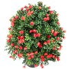 Gulches 2-Pack 21.6" Artificial Rose Topiary Ball Trees - UV-Resistant Red Faux Rose Bushes, Realistic Potted Plants - 4 of 4