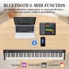 Coucheta Portable Digital Piano Keyboard 88 Keys, Full Size Electronic Piano with Power Adapter, Headphones & Bag for All Players, Black - 3 of 4
