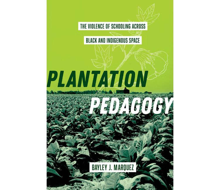 Plantation Pedagogy - (American Crossroads) by  Bayley J Marquez (Paperback), 1 of 1