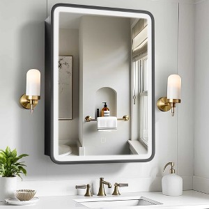 Lirago Bathroom Vanities Surface-mounted Mirror Cabinet with Mirror with Adjustable Light 28*20 Black - 1 of 4