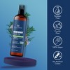 Botanic Hearth 100% Pure Rosemary Hair Oil For Hair Growth Infused With Biotin - 3 of 4