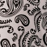 black - paisley