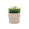 Sagebrook Home Mushroom Planters, Set of Three, 6"Hx7" Diameter, 7"Hx9" Diameter, 9"Hx10" Diameter, Tan Ceramic Finish, Lightweight Design Perfect - 2 of 4