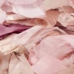 ivory/pink