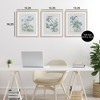 Stupell Industries Wild Blooms with Detailed Outlines 3pc Framed Print Under Glass Set - 3 of 4