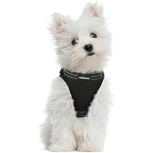 rabbitgoo Small Dog Harness, Mesh Dog Vest Harness Reflective Fast-Release Buckle, Soft Mesh Dog Harness for Small Dogs - 1 of 1