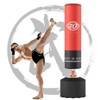 Punching Bag with Stand, Heavy Boxing Bag Freestanding with Suction Cup for Adult Kids - 2 of 4