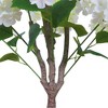Nasitip Artificial Hydrangea Tree,Faux Hydrangea Flower With Planter For Indoor,Outdoor,Office,Home Decor - 4 of 4