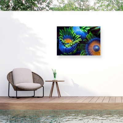 Trademark Fine Art - Santiago Pascual Buye The Colors Of The Reef Ii Matted Framed Art