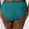 Curvy Couture Women's Mesh High Cut Brief Panty Fanfare Medium - 2 of 4