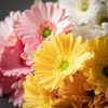 Sullivans Artificial 13" Cheerful Daisy Bush Set of 3 - 2 of 2