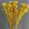 Alilang Decorative Dried Berry Stems for Home Decoration and Floral Arrangements, 17 Inches - 3 of 3